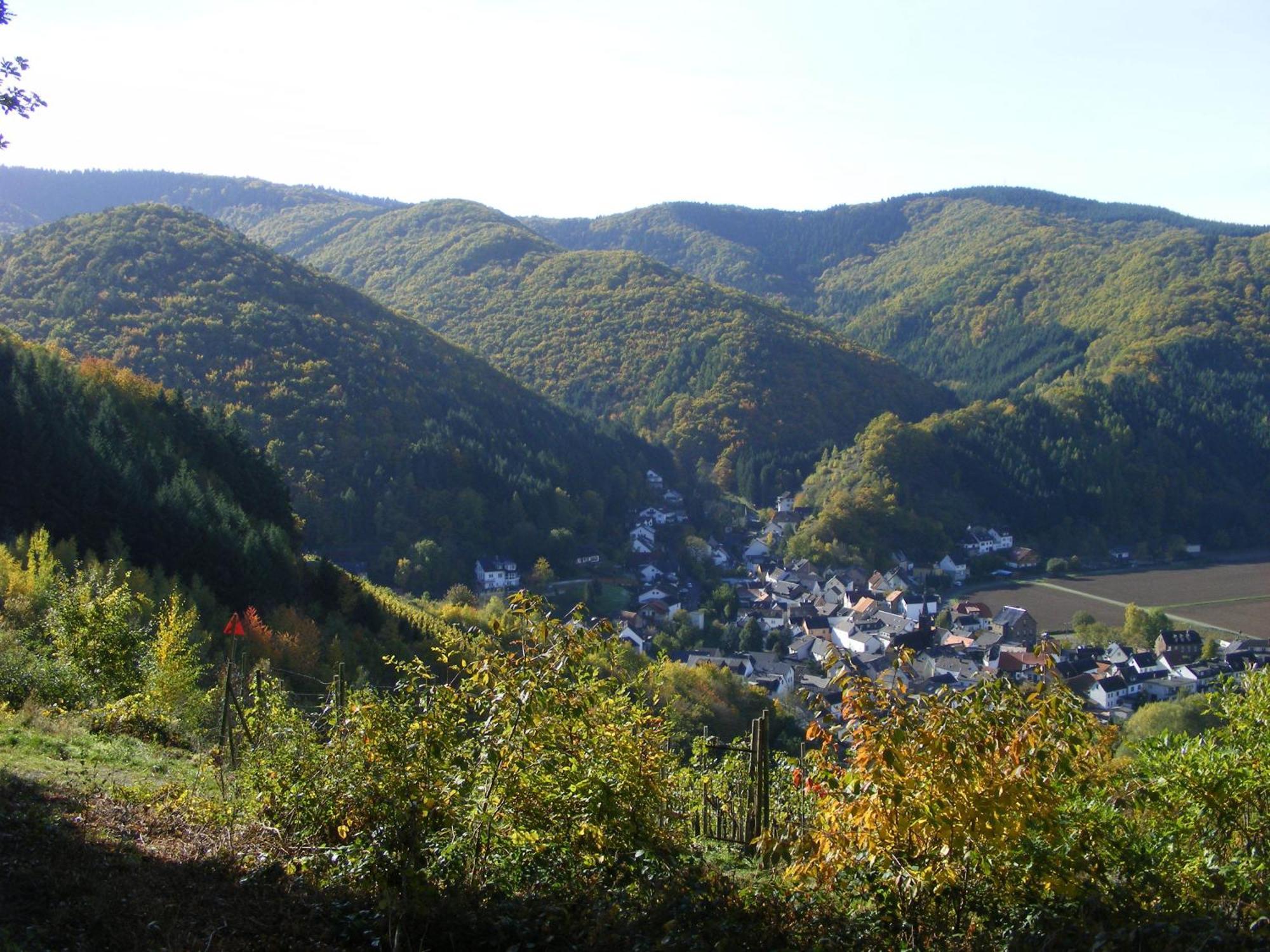 Gaestehaus Garni Sebastian 1520 Rech Exterior foto